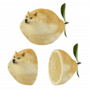 SlnaOmacka